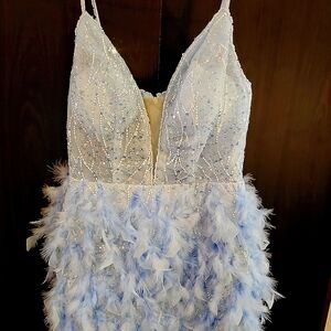 Elegant Blue Feathered Dress